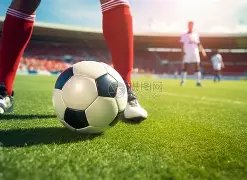 塔圖姆力主,奪冠為首要,目標,万博manbetx体育平台,万博体育官网,万博体育app下载,ManBetX,SPORTS