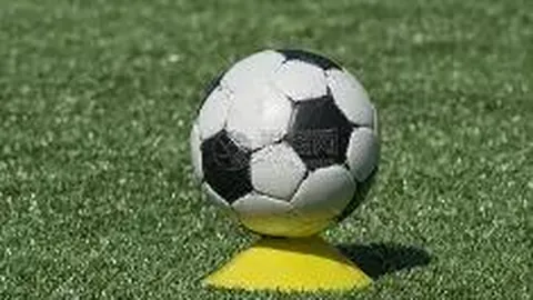 亚特兰大力促卢克曼与加斯佩里尼和解